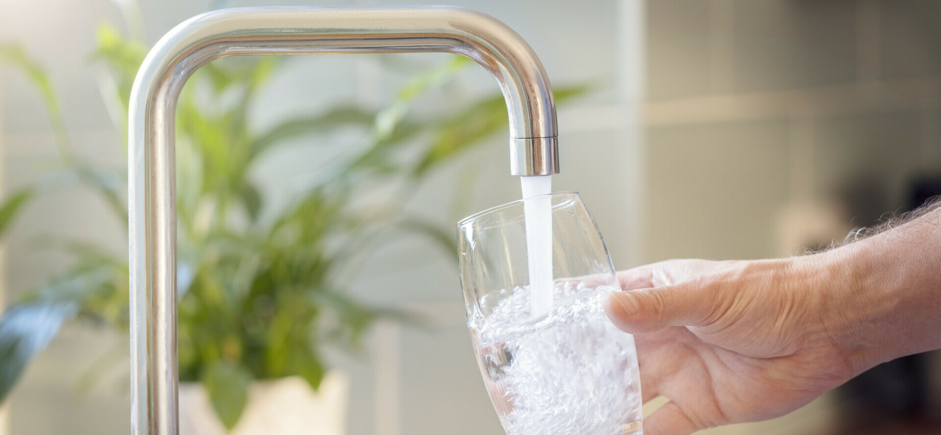 Trinkwasserfilter